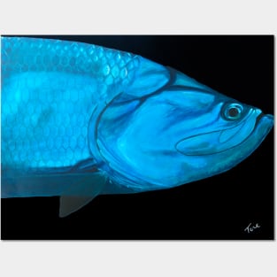 Tarpon Posters and Art